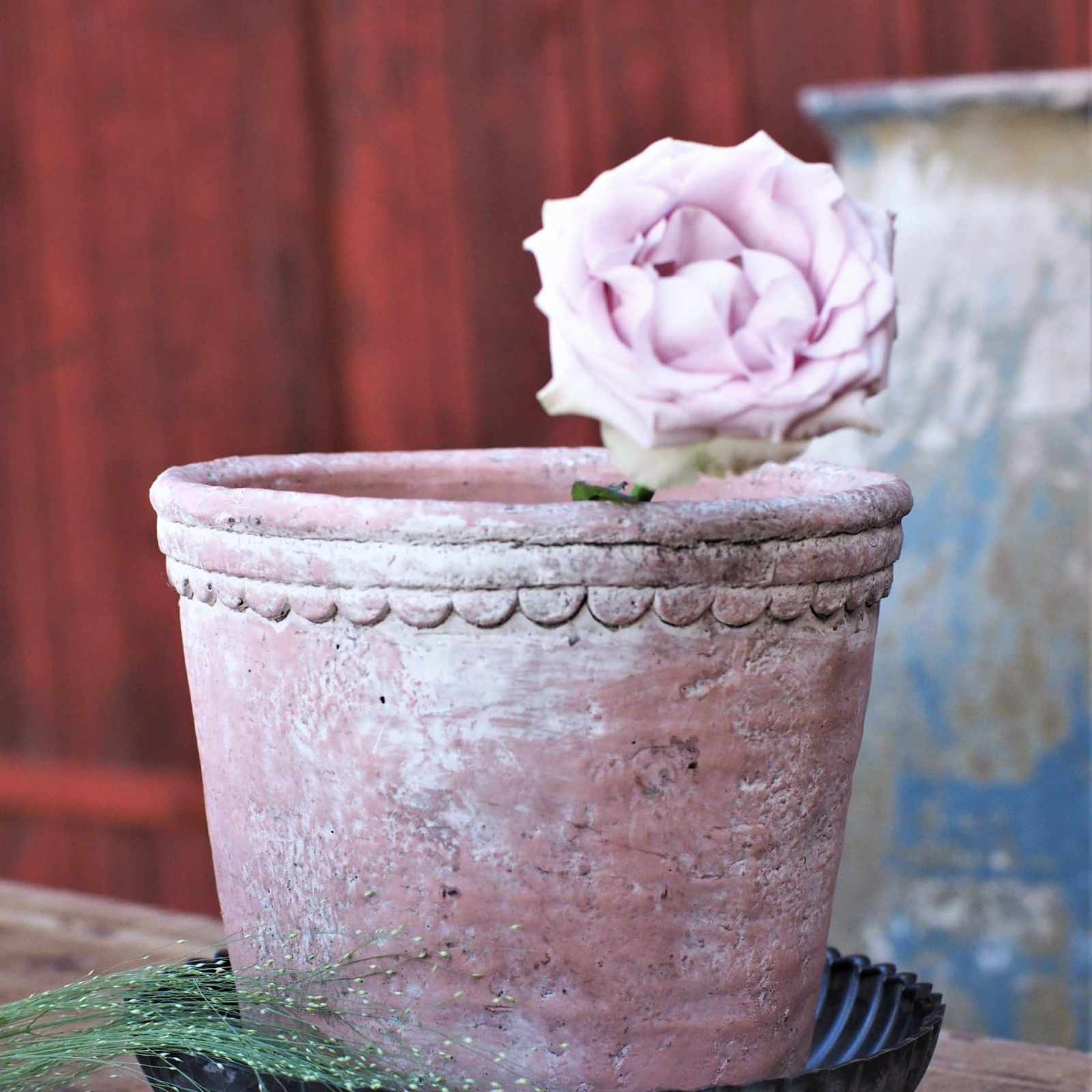 Fat med vågig kant Annabelle