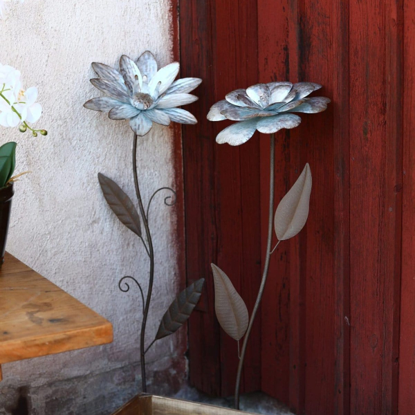 Trädgårdsblomma Dahlia - Bild 3