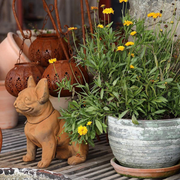 Hunddekoration fransk bulldog - Bild 2