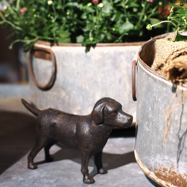 Hund i gjutjärn - Bild 2