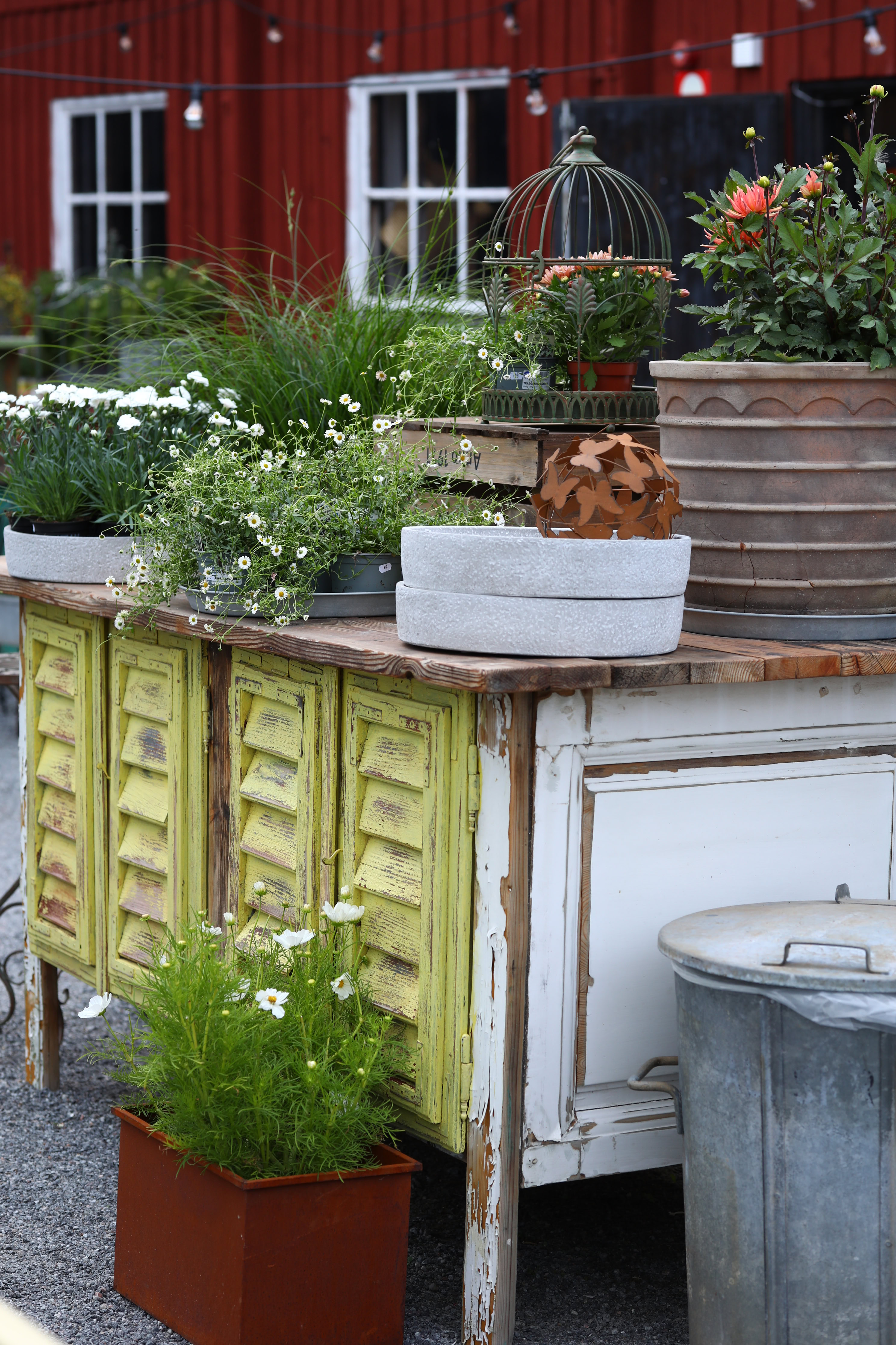 Terrakottakruka Capri - Bild 3