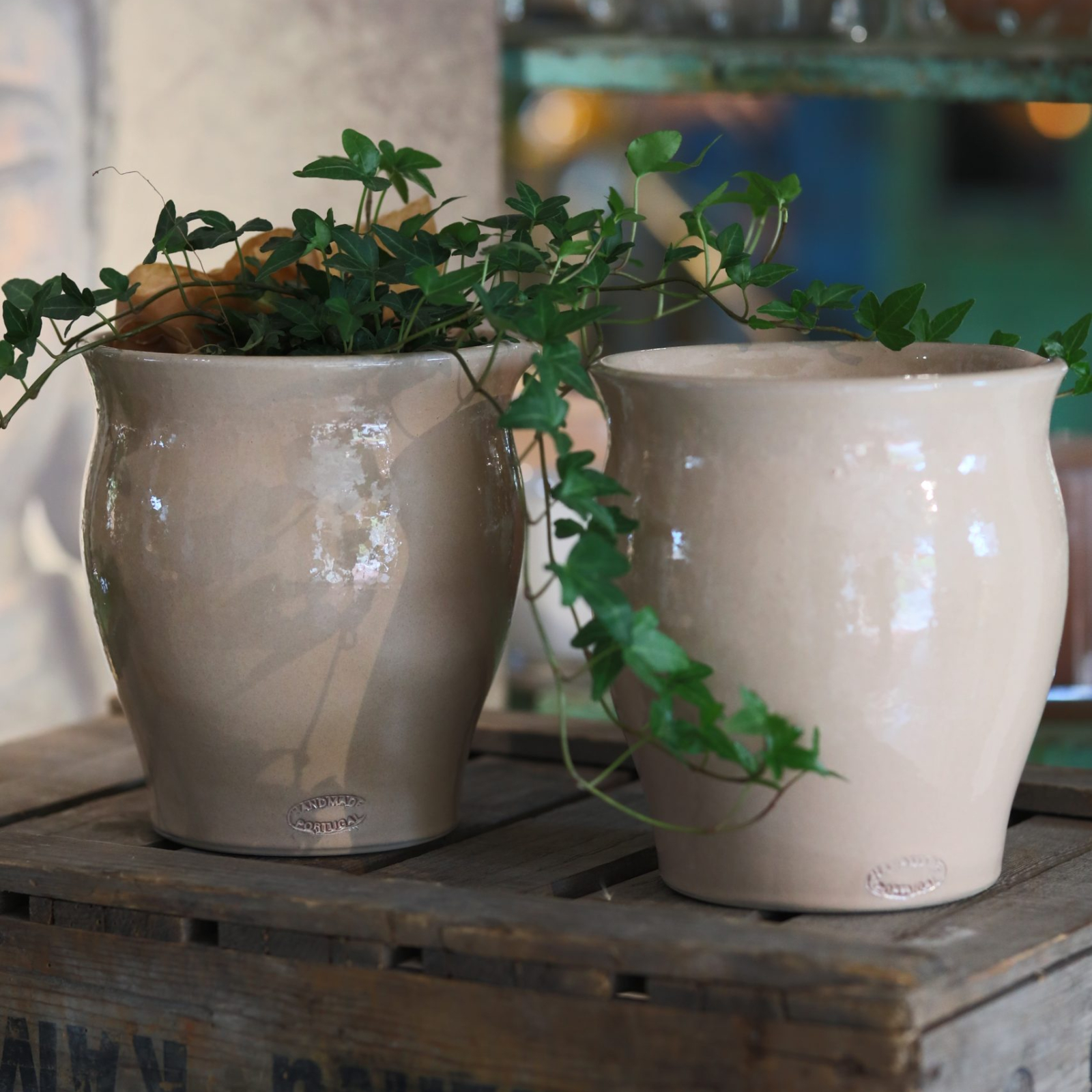 Krus Portugal puderrosa