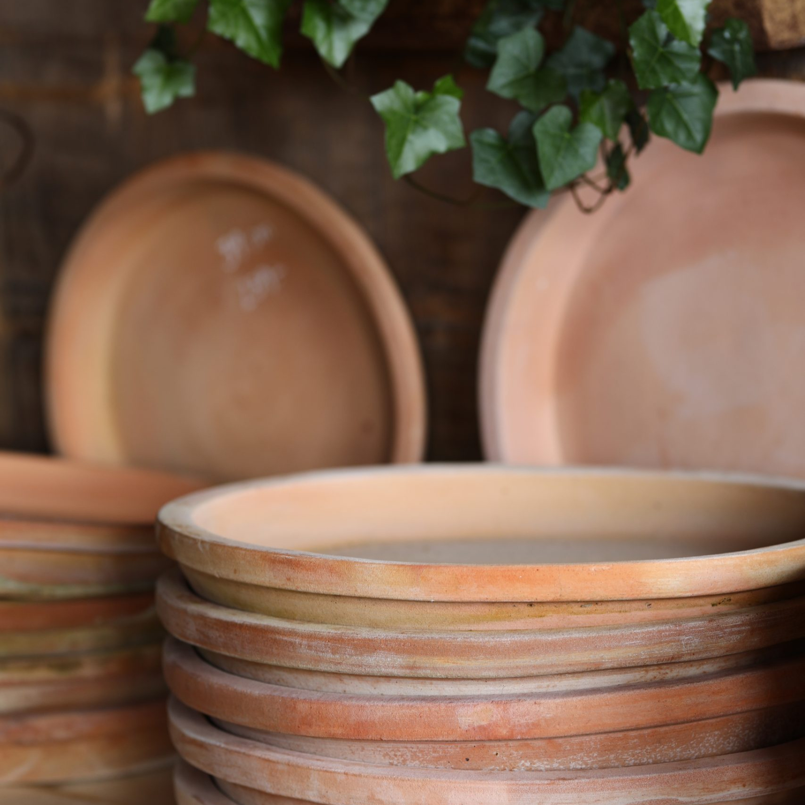 Terrakottafat / fat i terrakotta