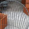 Trädgårdsstol svart metall - Bild 3