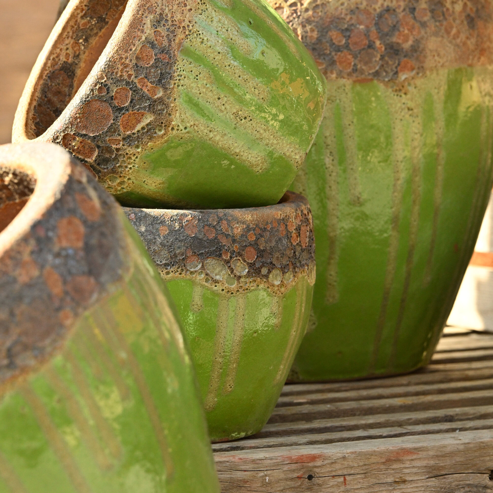 Terrakottakruka Amazonas