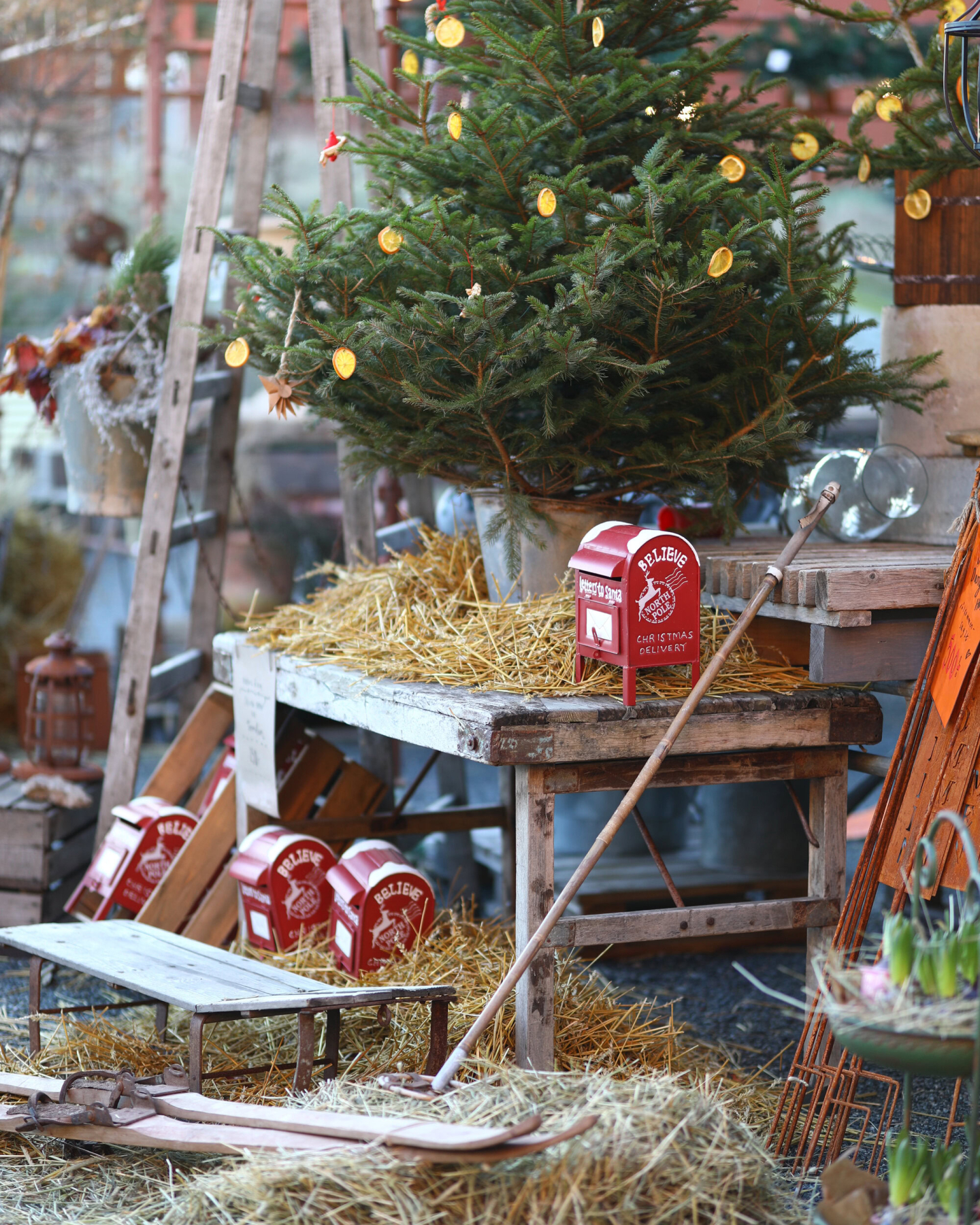 Jul / julmarknad på Dany's Home