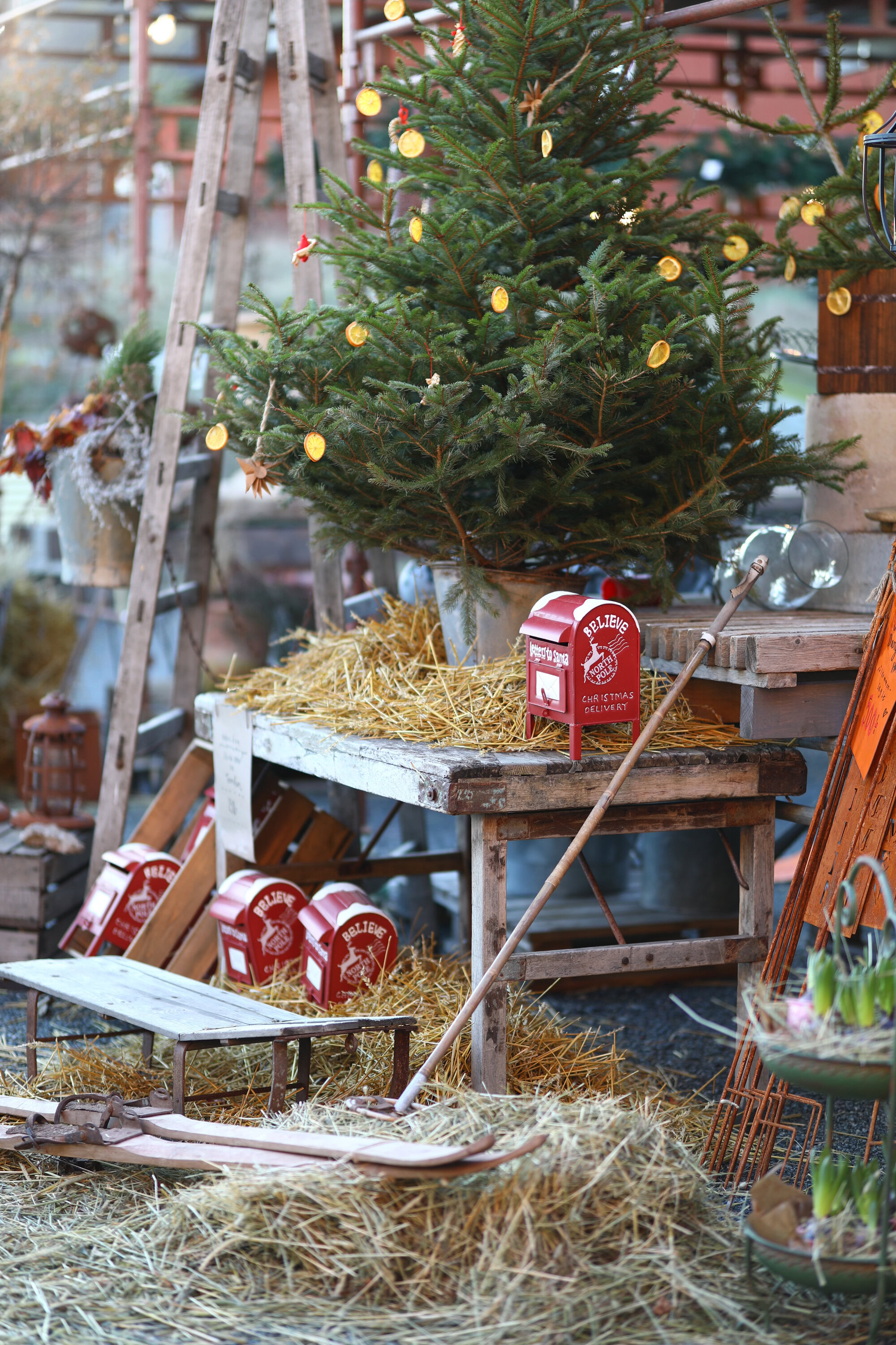 Jul / julmarknad på Dany's Home